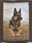 Photograph on canvas in the authorīs frame, 40 x 30 cm, photo by Marketa Zelenkova
